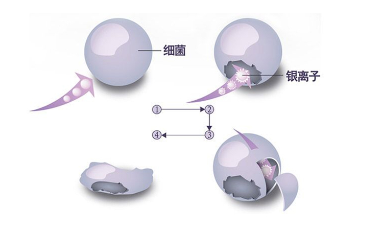 香港免费资料