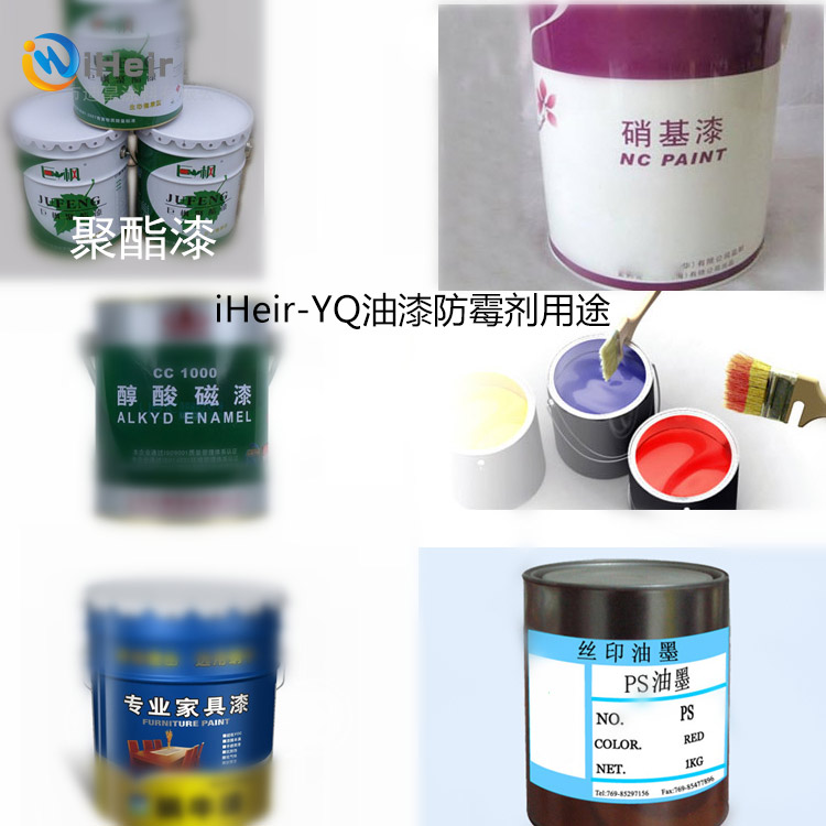 香港免费资料