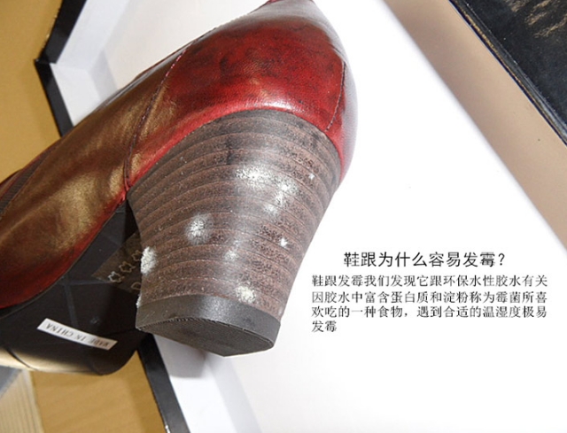 香港免费资料