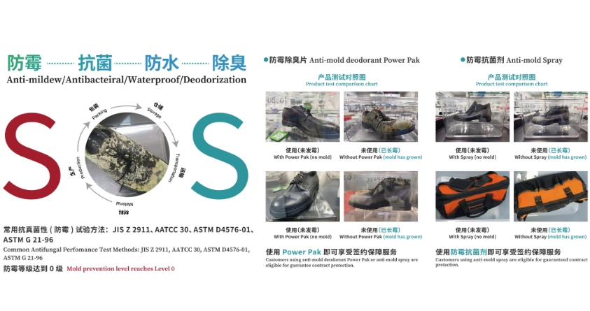 香港免费资料