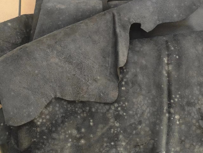 牛皮发霉了